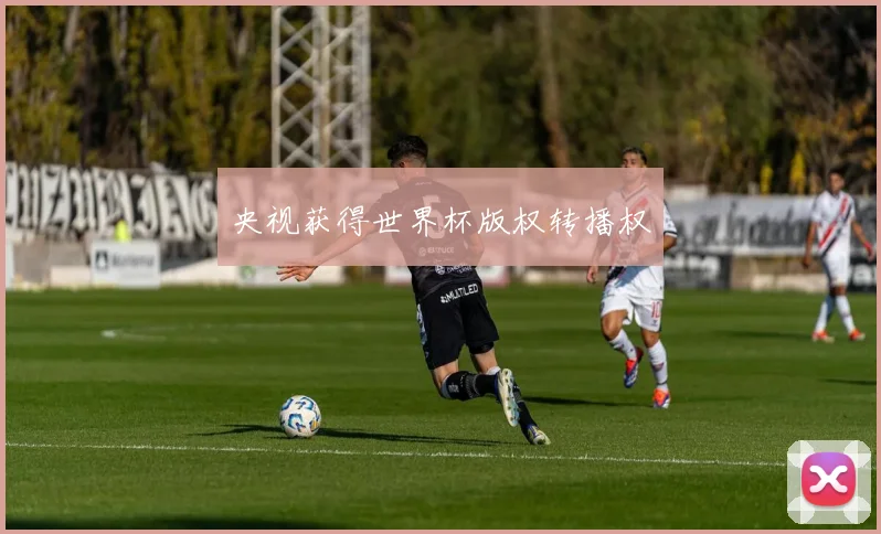 央视获得世界杯版权转播权