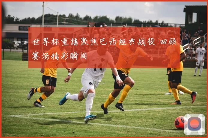 世界杯重播聚焦巴西经典战役 回顾赛场精彩瞬间