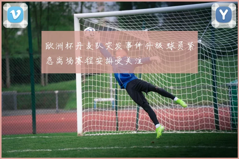 欧洲杯丹麦队突发事件升级 球员紧急离场赛程安排受关注