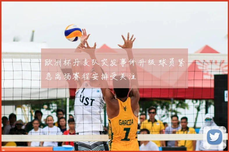 欧洲杯丹麦队突发事件升级 球员紧急离场赛程安排受关注