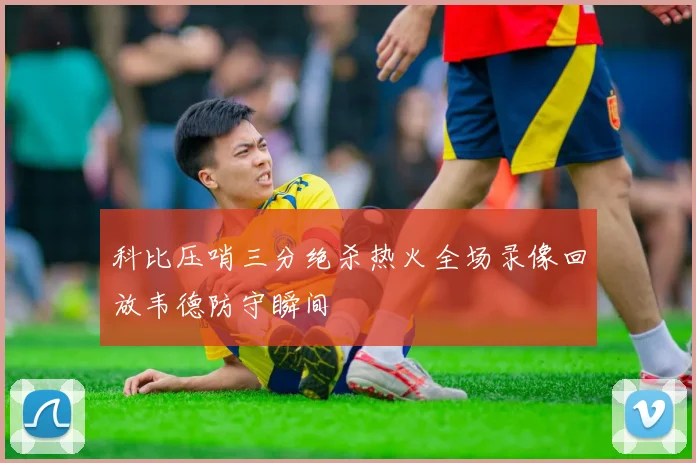 科比压哨三分绝杀热火全场录像回放韦德防守瞬间