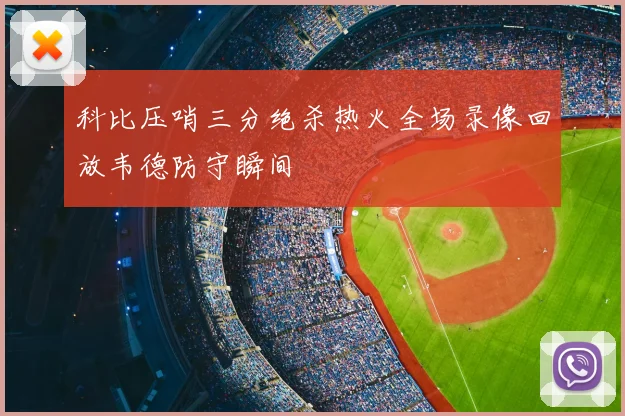 科比压哨三分绝杀热火全场录像回放韦德防守瞬间